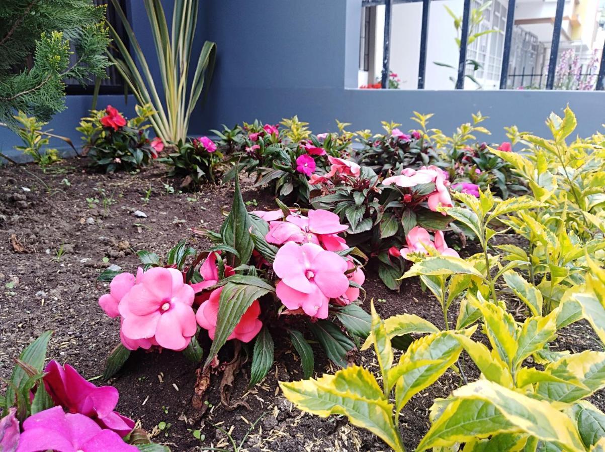 Hotel Jardin 38 Pasto Zimmer foto