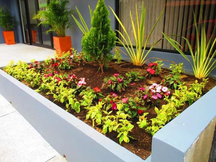 Hotel Jardin 38 Pasto Zimmer foto